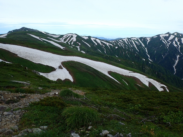 2019/7/19~21飯豊山 その3 ダイクラ尾根下山_b0189948_22572588.jpg