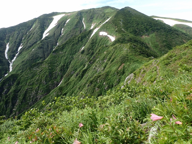 2019/7/19~21飯豊山 その3 ダイクラ尾根下山_b0189948_22593112.jpg
