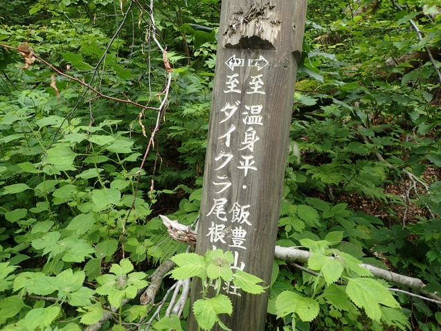 2019/7/19~21飯豊山 その3 ダイクラ尾根下山_b0189948_23441100.jpg