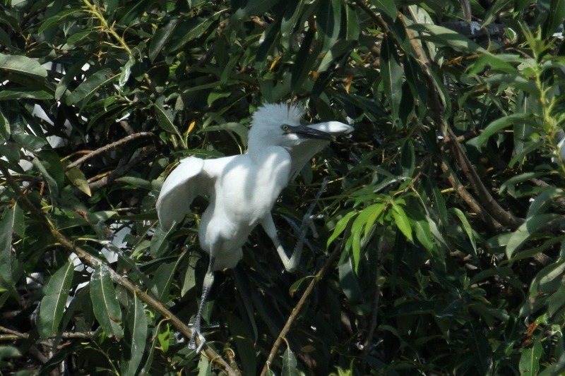 c0155950_22223081.jpg