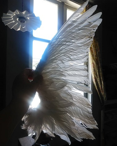 c0172261_09120511.jpg