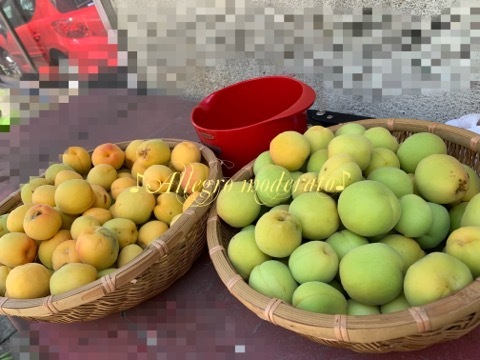 d0240961_07520848.jpeg