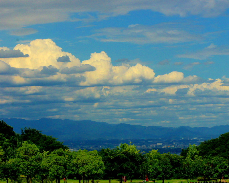 c0305565_17514978.jpg
