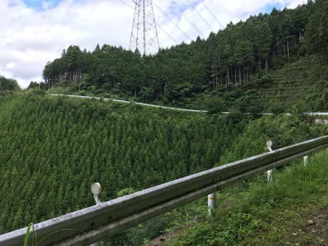 福生駅〜大岳山〜武蔵五日市駅_c0206177_17461871.jpg