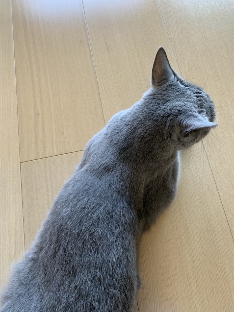 c0310987_10212233.jpeg