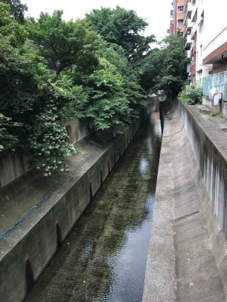 e0397389_13390087.jpeg
