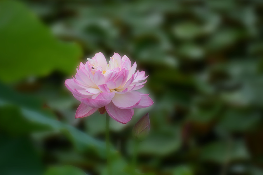 a0143491_22582910.jpg