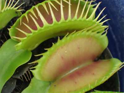 f0203094_14504951.jpg