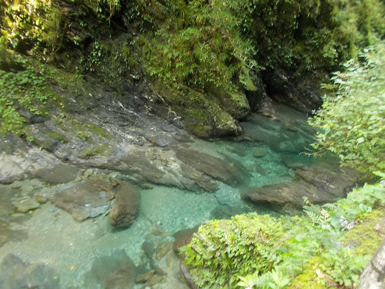 f0308898_20293147.jpg