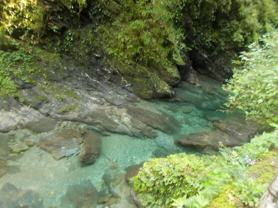f0308898_20373614.jpg