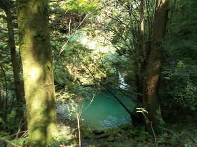 f0308898_20373713.jpg