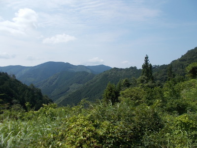 f0308898_20383143.jpg
