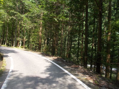f0308898_20383332.jpg