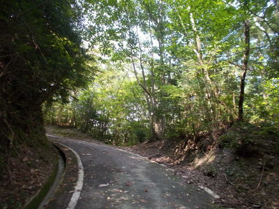 f0308898_20383342.jpg