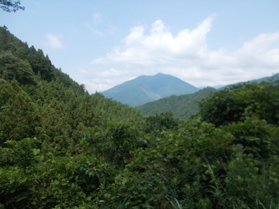 f0308898_20383345.jpg