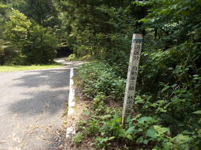 f0308898_20383383.jpg