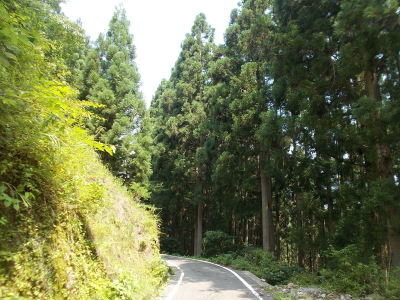 f0308898_20383466.jpg