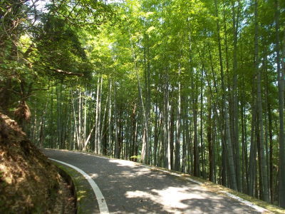 f0308898_20415482.jpg