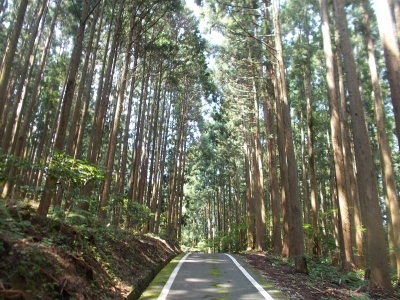 f0308898_20415597.jpg