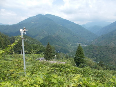 f0308898_20415626.jpg