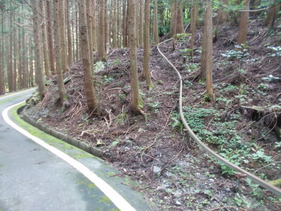 f0308898_20415689.jpg