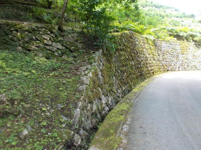 f0308898_20424909.jpg