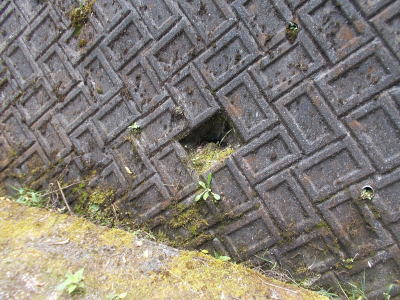 f0308898_20425027.jpg