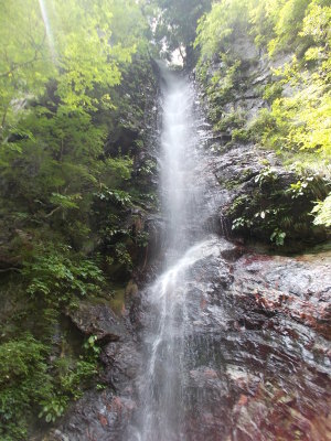 f0308898_20435292.jpg