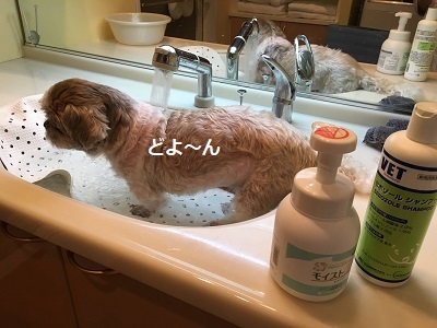 台風6号と今日の王子。_f0372998_19325730.jpg