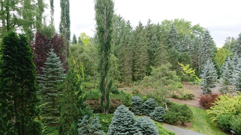 c0320302_13254299.jpg