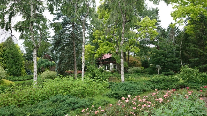 c0320302_21353006.jpg