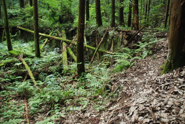 d0359503_22264082.jpg