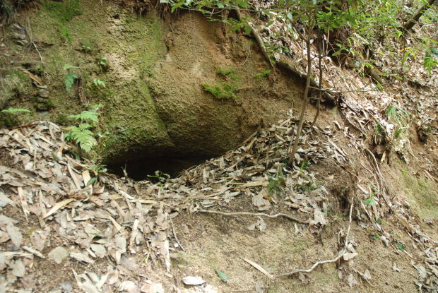 d0359503_22273125.jpg