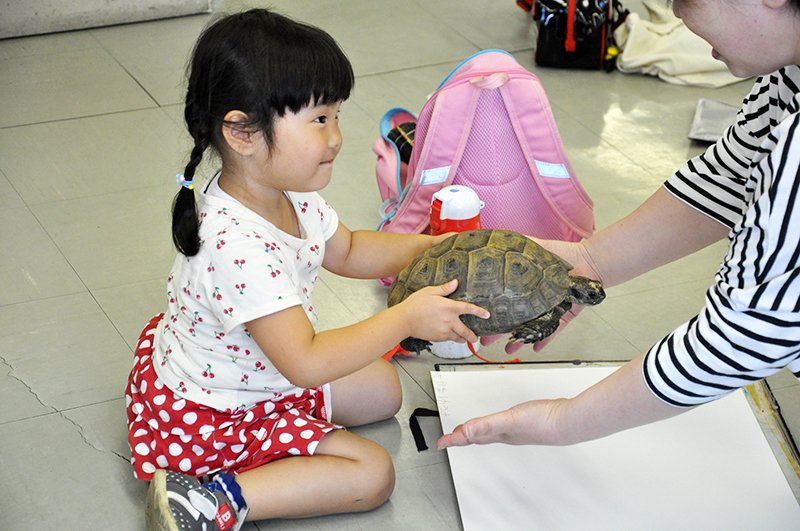 リクガメと卵を写生しよう_b0212226_22512621.jpg