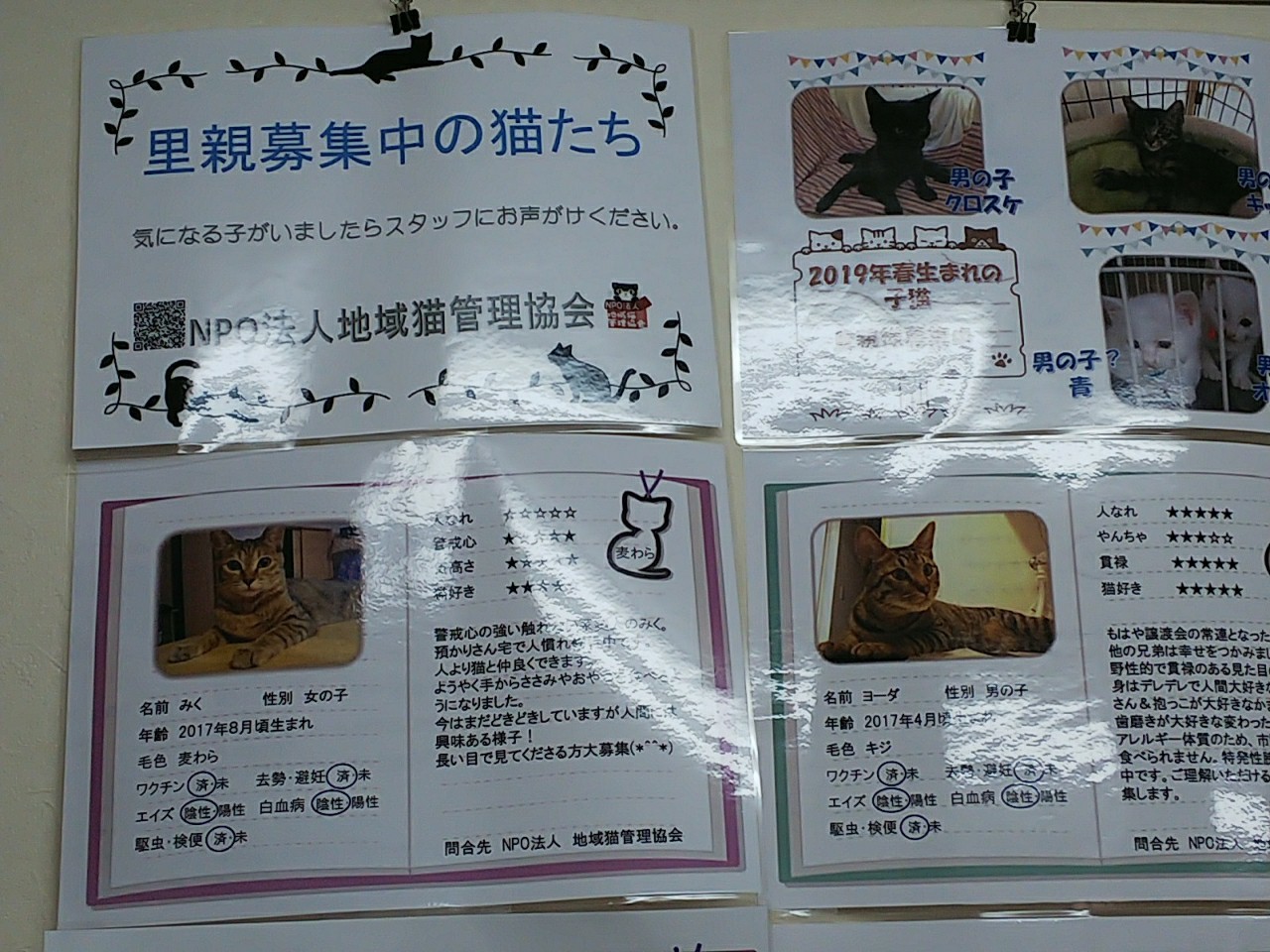 ぴっちょり工房おきらくスイッチｏｎ
