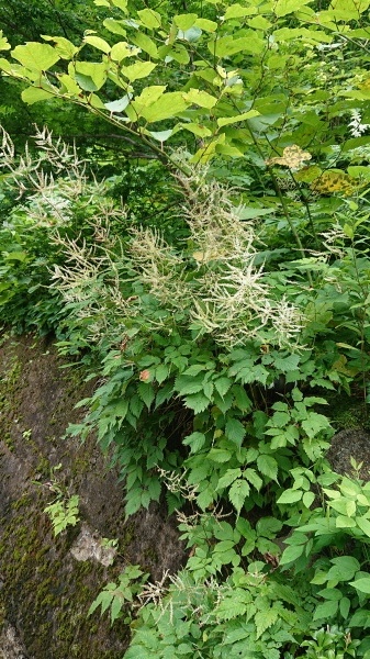 c0213830_13304833.jpg