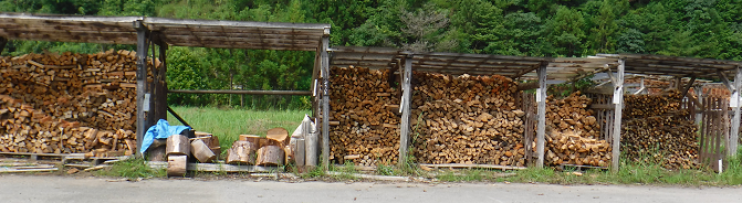 a0051539_12304412.png