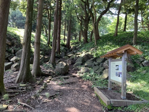 b0330040_12024901.jpeg