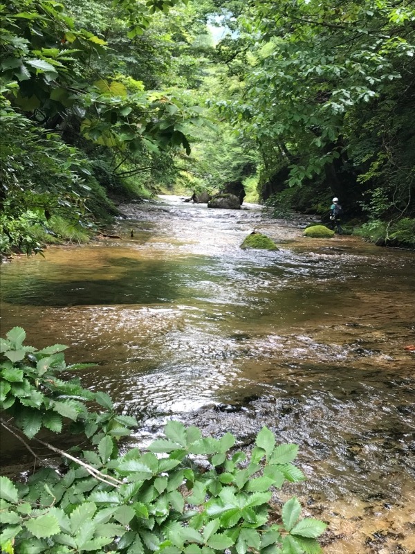 d0347140_13550072.jpg