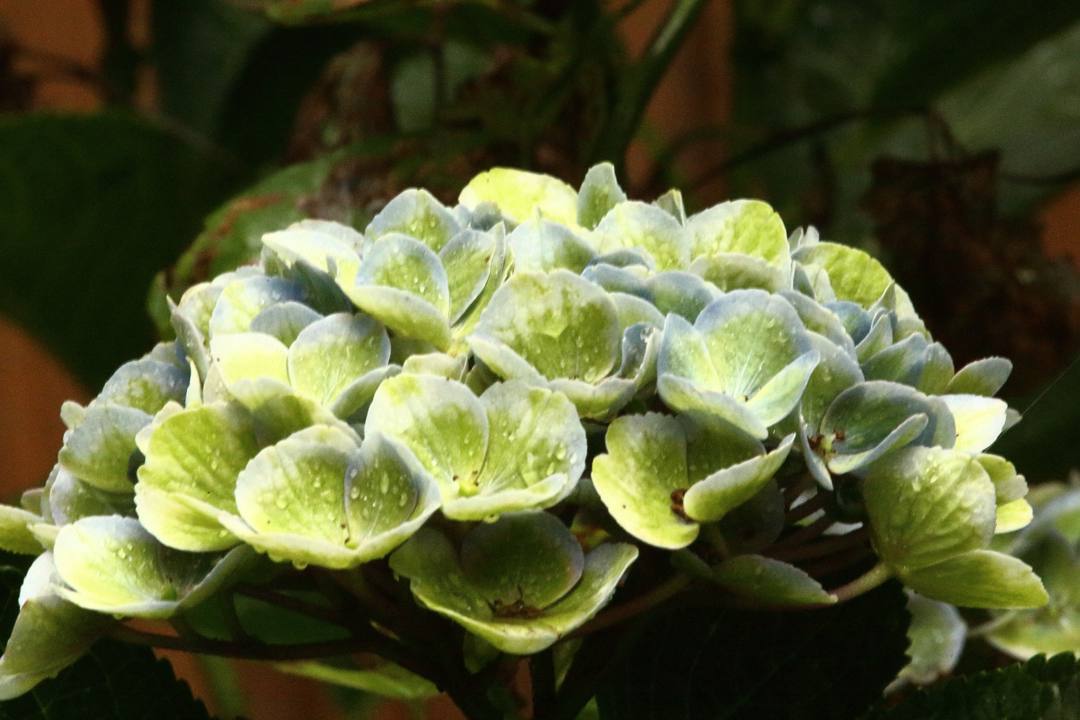 e0403850_11560889.jpg