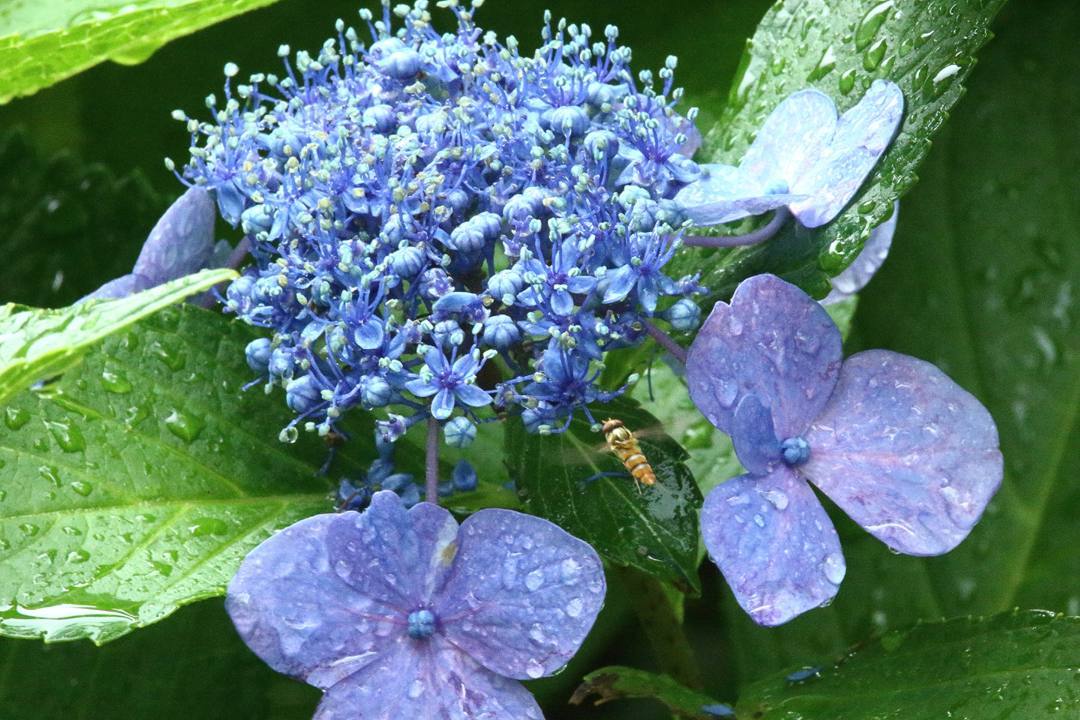 e0403850_11561366.jpg