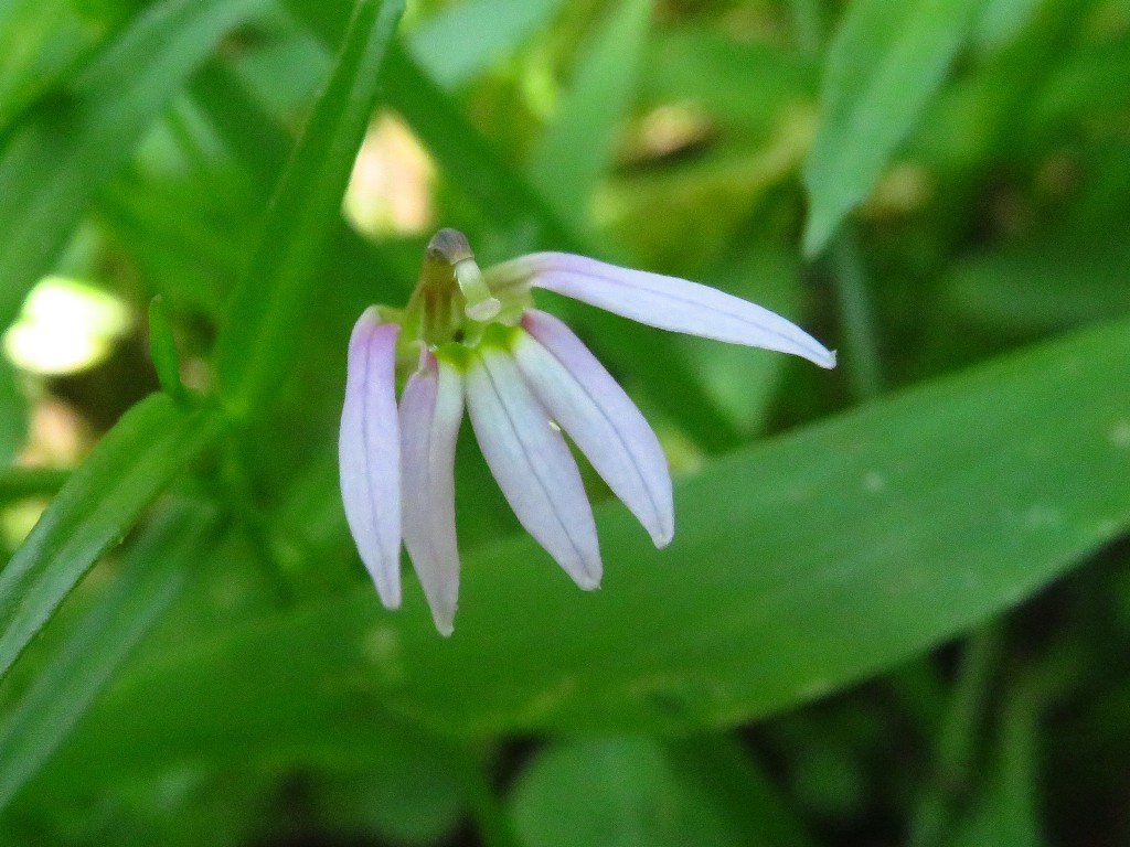 a0018655_08544911.jpg