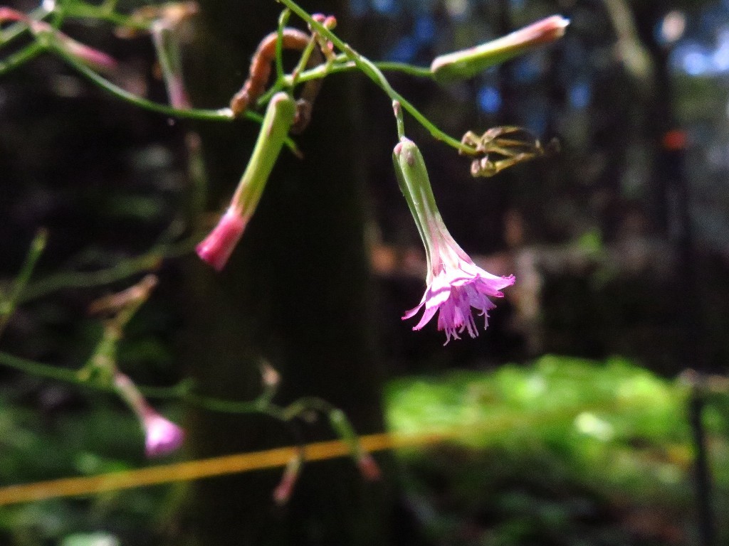 a0018655_09155819.jpg