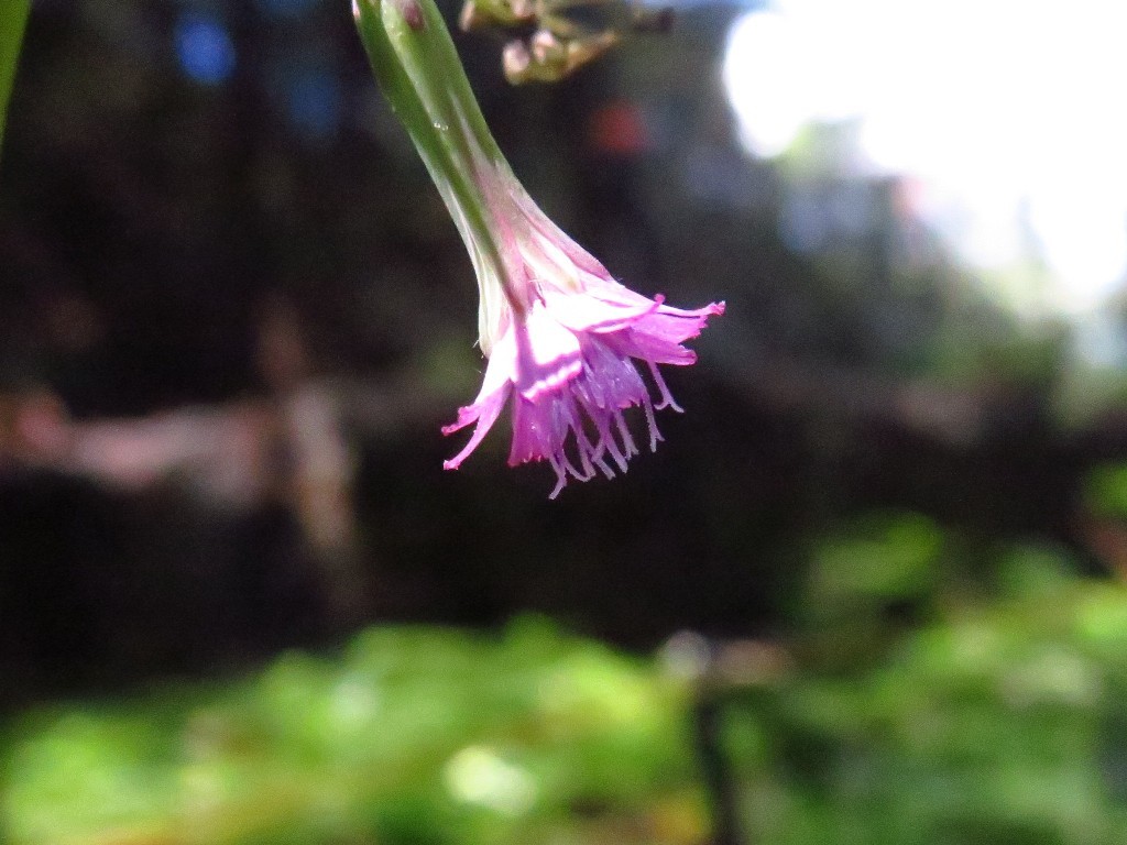 a0018655_09155887.jpg