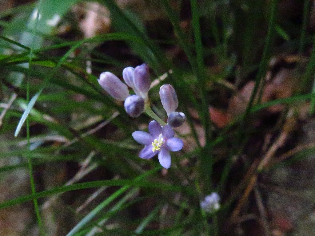 a0018655_09155976.jpg