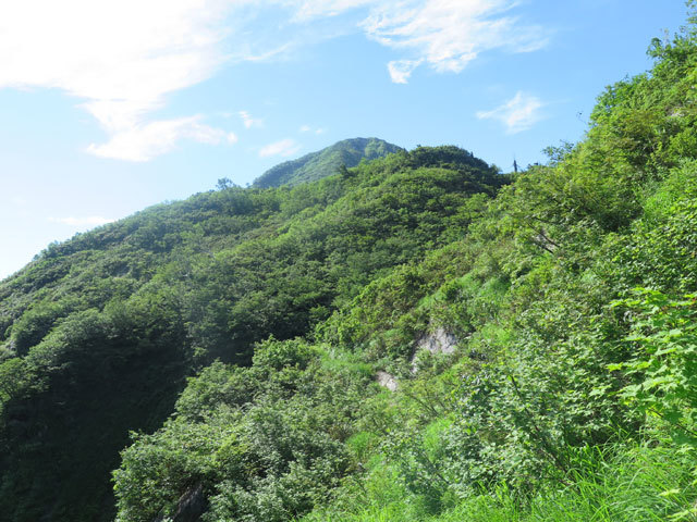 c0116856_09101378.jpg