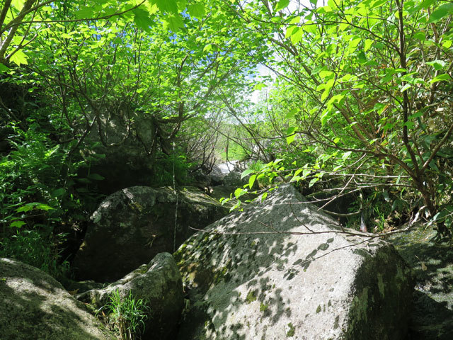 c0116856_09103075.jpg