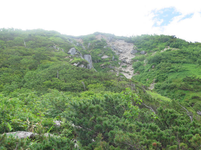 c0116856_09144195.jpg