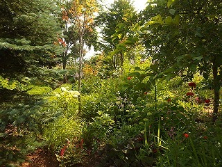 e0004756_21421797.jpg