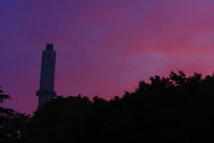 a0248459_19502427.jpg